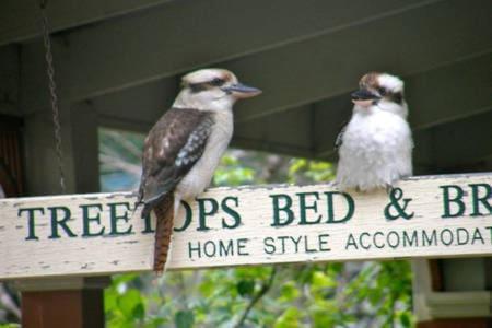 Treetops Bed & Breakfast Blackburn Buitenkant foto